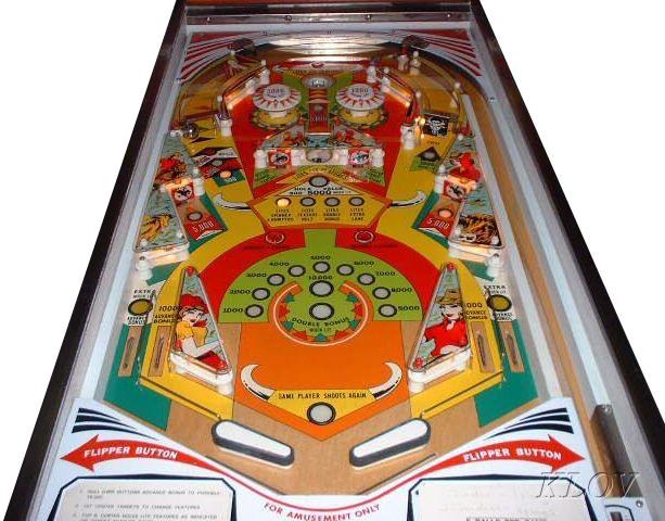 rawhide pinball machine