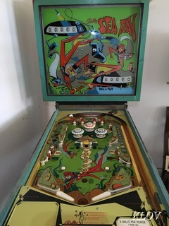 sea ray pinball